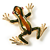 Gold Plated Enamel Frog Brooch (Brown & Green)