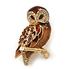 Brown Crystal Owl Brooch In Gold Plated Metal