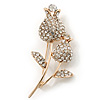 Clear Crystal Double Rose Brooch In Gold Plating - 60mm Length