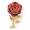 Red Enamel Crystal 'Rose' Brooch In Gold Plating - 60mm Length