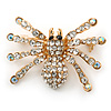 Clear, AB Crystal Spider Brooch In Gold Plating - 37mm Width