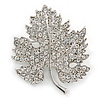 Clear Austrian Crystal Maple Leaf Brooch In Rhodium Plating - 40mm L