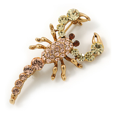 Statement Multicoloured Scorpio Brooch In Gold Plated Metal - 48mm L - main view