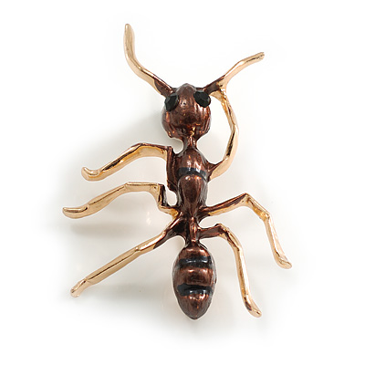 Brown Enamel Ant Brooch in Gold Tone - 50mm Long - main view