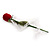 Red Rose Gift Box for Small Rings (with white ribbons) - view 2