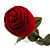 Red Rose Gift Box for Small Rings (with white ribbons)