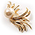 Gold Plated Delicate Faux Pearl Fashion Brooch - view 10