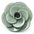 Romantic Pale Green Plastic Rose Brooch