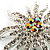 Corsage Sparkling Crystal Star Brooch - view 4