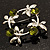 Small Butterfly Crystal Wreath Brooch (Silver & Olive) - view 4