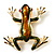 Gold Plated Enamel Frog Brooch (Brown & Green) - view 5