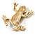 Gold Plated Enamel Frog Brooch (Brown & Green) - view 7
