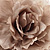 Oversized Light Grey Silk Fabric Rose Brooch - 16cm Diameter - view 4
