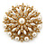 Bridal Vintage Inspired White Simulated Pearl, Austrian Crystal Layered Floral Brooch In Gold Plating - 50mm Diameter