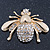 Dazzling Diamante 'Bee' Brooch In Polished Gold Tone Metal - 50mm Width