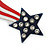 Star And Stripes Crystal Acrylic Brooch - 70mm Across - view 3