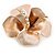 Bronze/ Magnolia Enamel, Crystal Flower Brooch In Gold Plating - 30mm Across - view 3