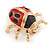 Black/ Red Enamel Lady Bug Brooch In Gold Plated Metal - 30mm L - view 6