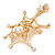 Gold Plated Clear Crystal Pearl Spider, Web and Fly Brooch - 60mm L - view 4