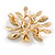 Small Clear Crystal Tree Brooch In Gold Tone - 35mm Across - view 5