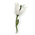 Snowdrop Flower Floral Brooch - 70mm Long