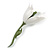 Snowdrop Flower Floral Brooch - 70mm Long - view 2