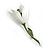 Snowdrop Flower Floral Brooch - 70mm Long - view 5