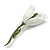 Snowdrop Flower Floral Brooch - 70mm Long - view 6