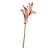 Light Pink Enamel Calla Lily Floral Brooch in Gold Tone - 70mm Long - view 2