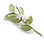White Faux Pearl Green Matt Enamel Floral Brooch - 75mm Long - view 6