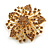 Statement Caramel Brown Crystal Flower Brooch in Gold Tone - 55mm Diameter - view 4