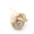 Children's Pretty White Acrylic 'Rose' Stud Earrings With Acrylic Backings - 9mm Diameter - view 4