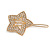 Small Gold Tone Clear Crystal Star Hair Slide/ Grip - 50mm Across - view 9