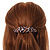 Brown/ Black Feather Motif Acrylic Oval Barrette/ Hair Clip - 95mm Long - view 3