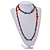 Long Brown/ Plum Shell Nugget and Grey Glass Crystal Bead Necklace - 114cm Long - view 3