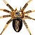 Gold Black Enamel Swarovski Crystal Spider Cocktail Ring - Size 7 - view 7
