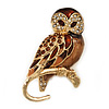 Brown Crystal 'Owl On The Branch' Brooch In Gold Plated Metal - 40mm L
