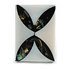 45mm L/Rectangular Shape Sea Shell Brooch/Off White/Black Shades/ Handmade/ Slight Variation In Colour/Natural Irregularities