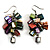 Multicoloured Shell Composite Cluster Dangle Earrings (Silver Tone)