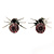 Small Lilac/ Black Crystal 'Spider' Stud Earrings In Silver Plating - 12mm Across